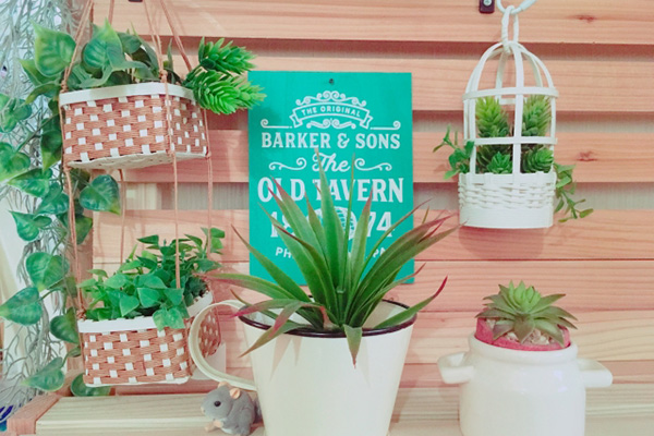 除了種類豐富的玩具之外,百元店也有適合成年人的時(shí)尚雜貨。在這些商店里,總有一些東西能引起您的興趣。