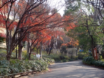 去日本工作需要有準備哪些材料？