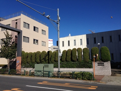 日本簽證拒簽理由：哪些情況會被拒簽？