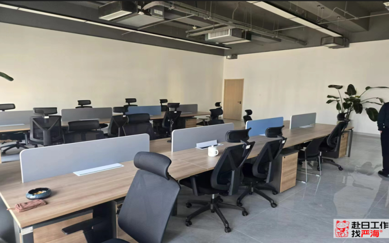 對(duì)日IT開(kāi)發(fā)項(xiàng)目經(jīng)理、工程師